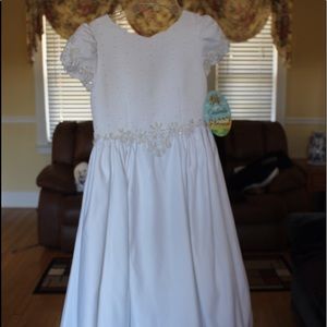 Cinderella First Communion/Flower Girl Dress