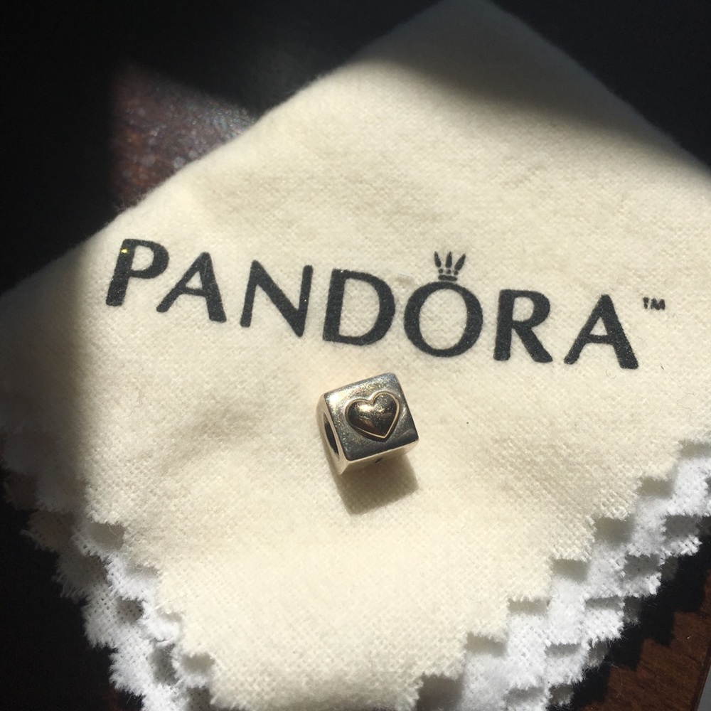 Pandora bracelet charm