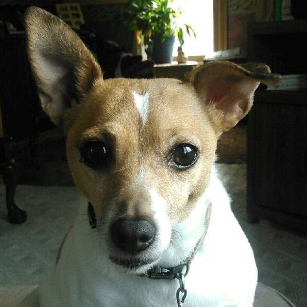 Meet your Posher, Barbara