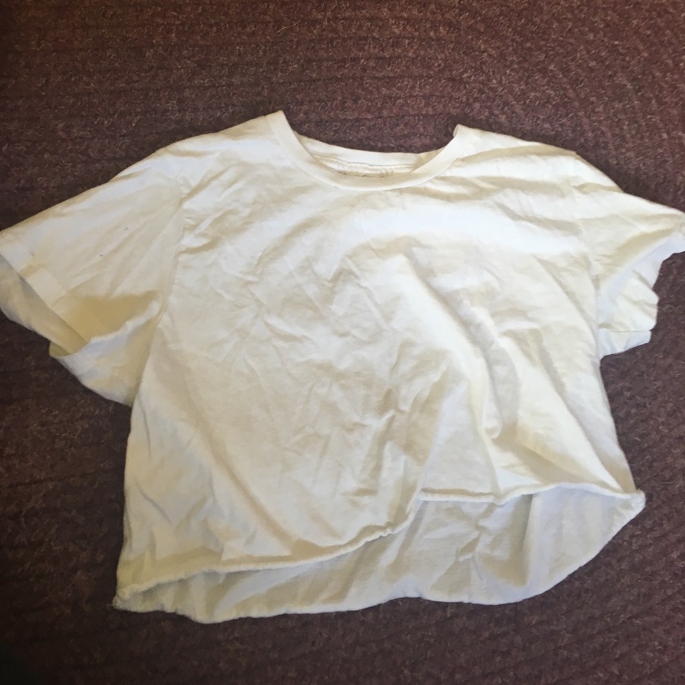 American Apparel Crop Top