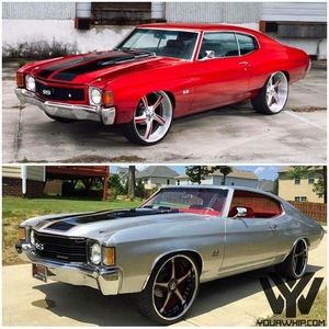 Meet your Posher, Malcolm