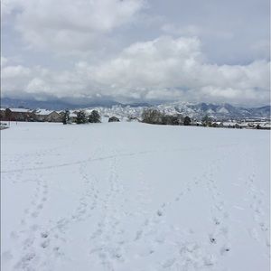 Meet your Posher, Jill