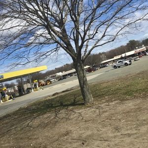 Meet your Posher, Ricky