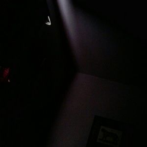 Meet your Posher, Alan