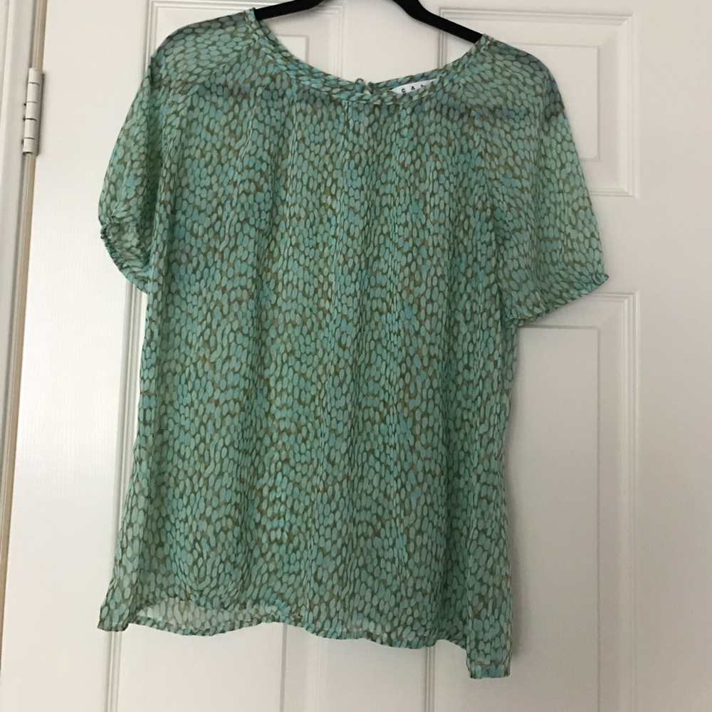 Cabi Blouse