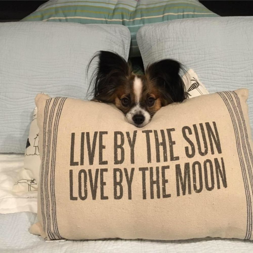 Meet your Posher, Missy