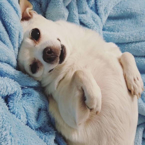 Meet your Posher, LowKeyFire - Picture 7 of 8