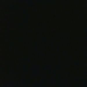 Meet your Posher, Dominique