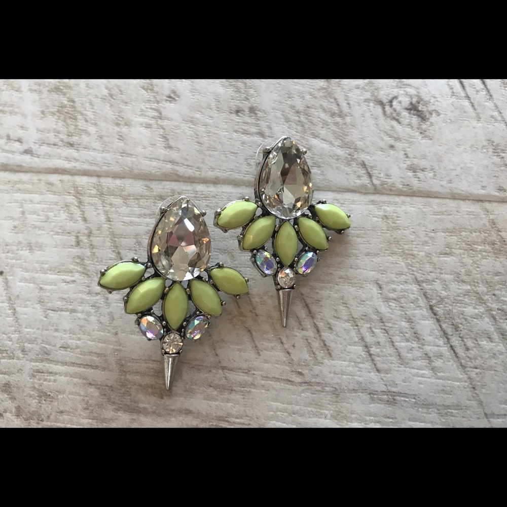 Fashion earrings