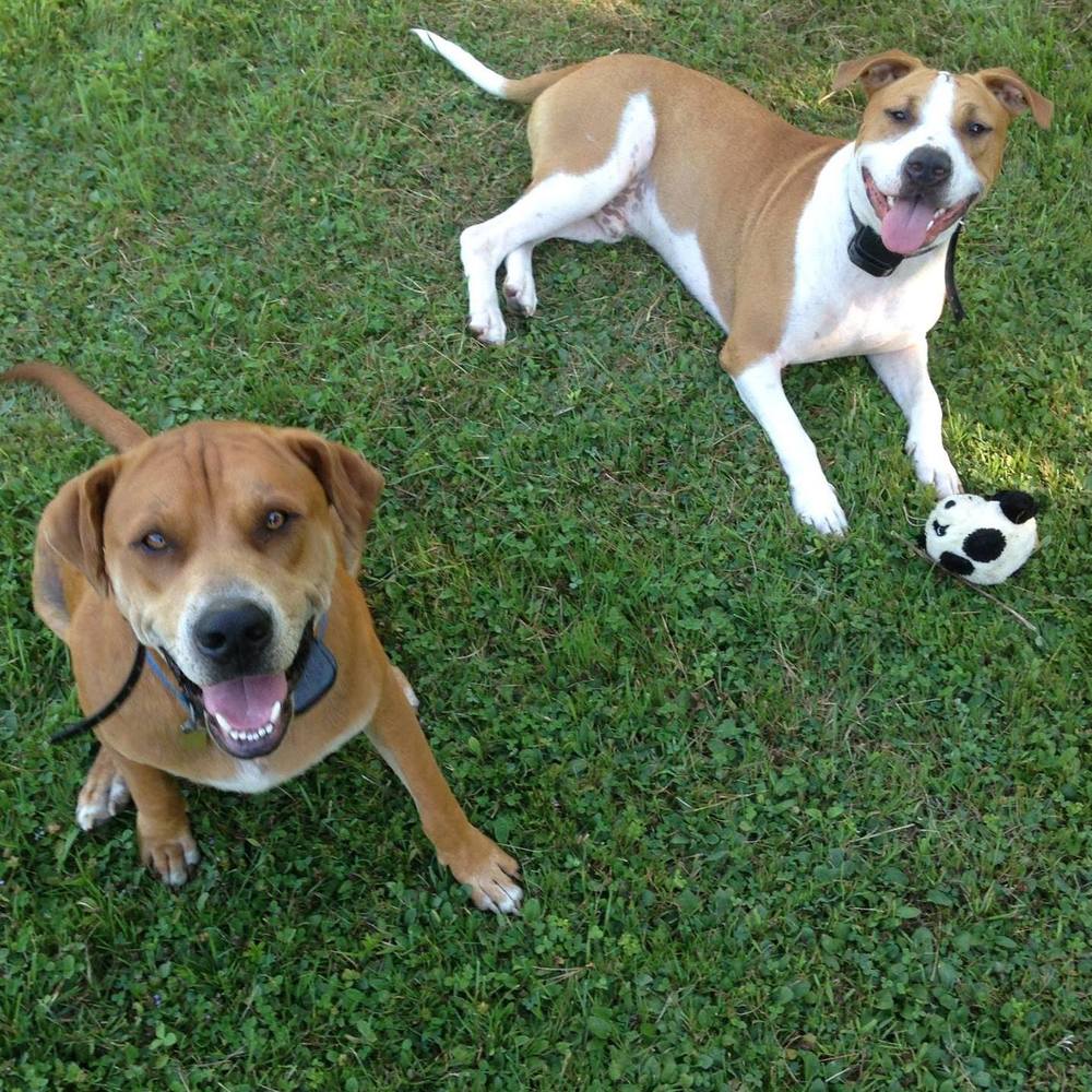 Meet your Posher, Gracy