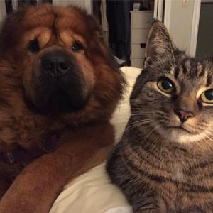 Meet your Posher, Donna