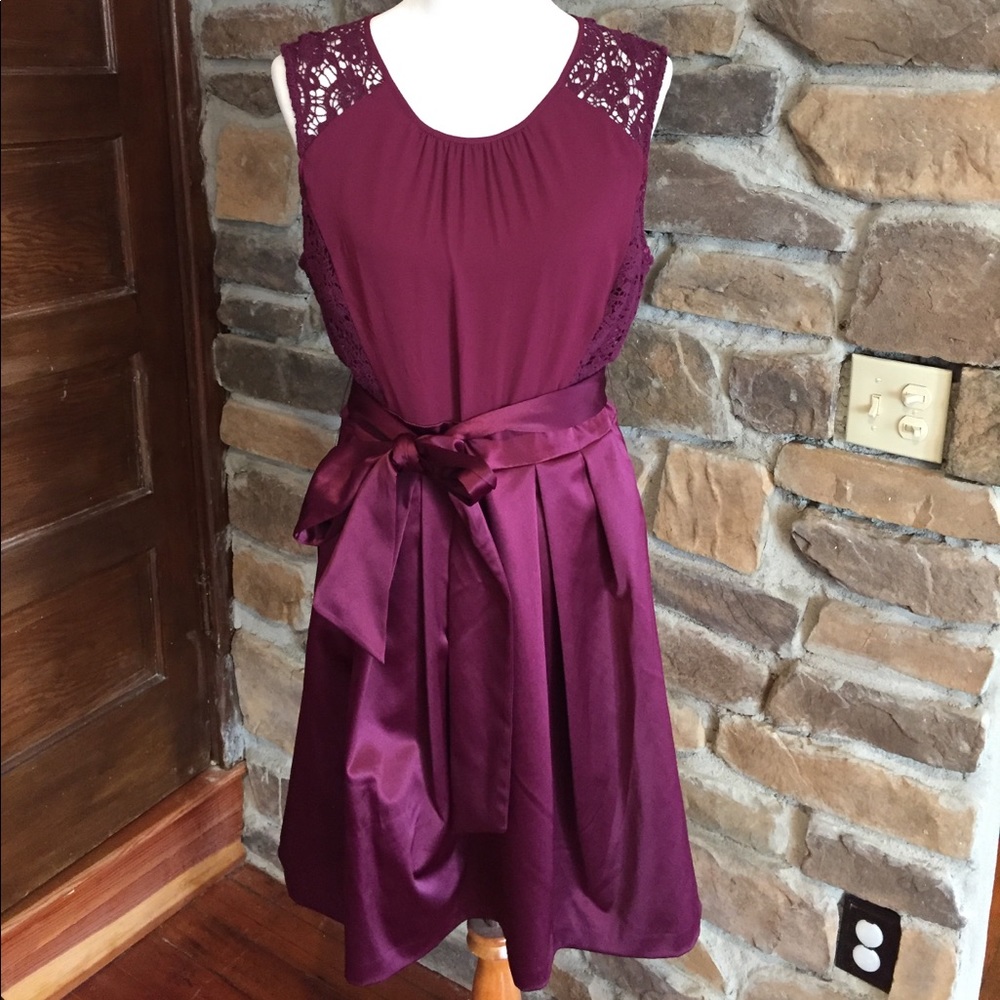 NWT The Limited maroon cranberry dress