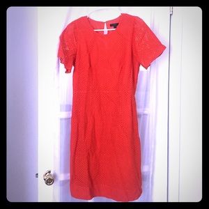 J Crew Flutter Sleeve in Eyelet, NWT