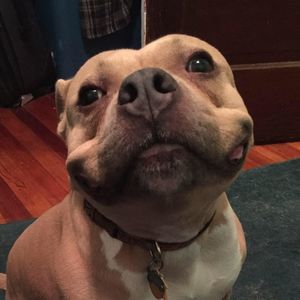 Meet your Posher, Allison