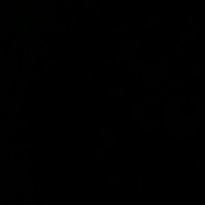 Meet your Posher, Tomas