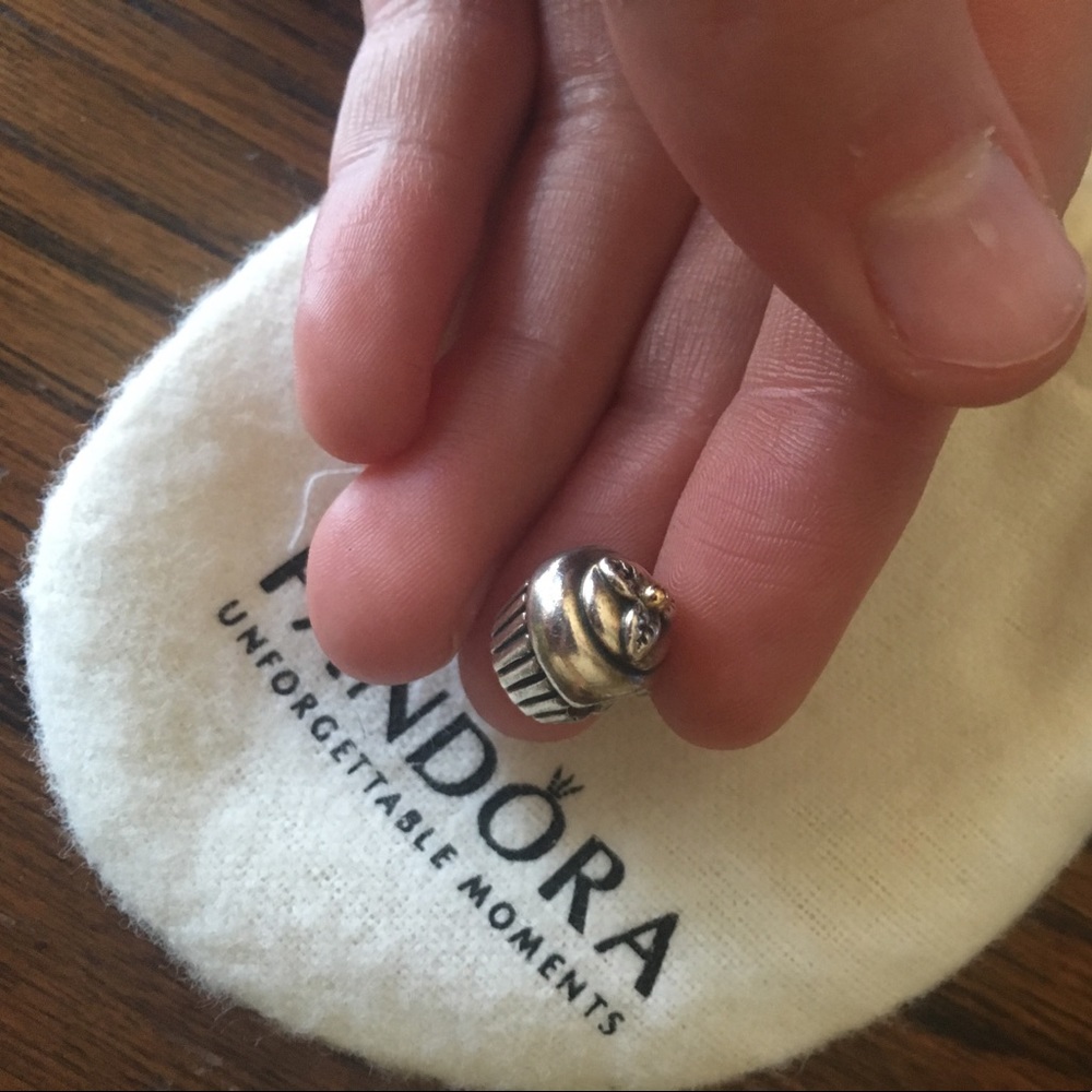 Pandora charms selling individually 25 each or 200