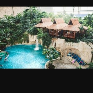 Meet your Posher, Debbi