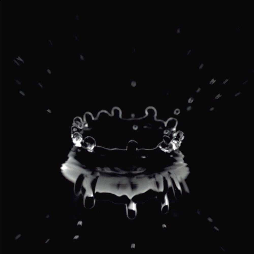 Meet your Posher, Kevin