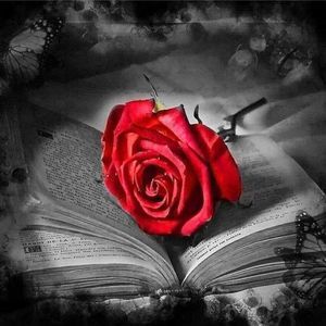 Meet your Posher, Malissa