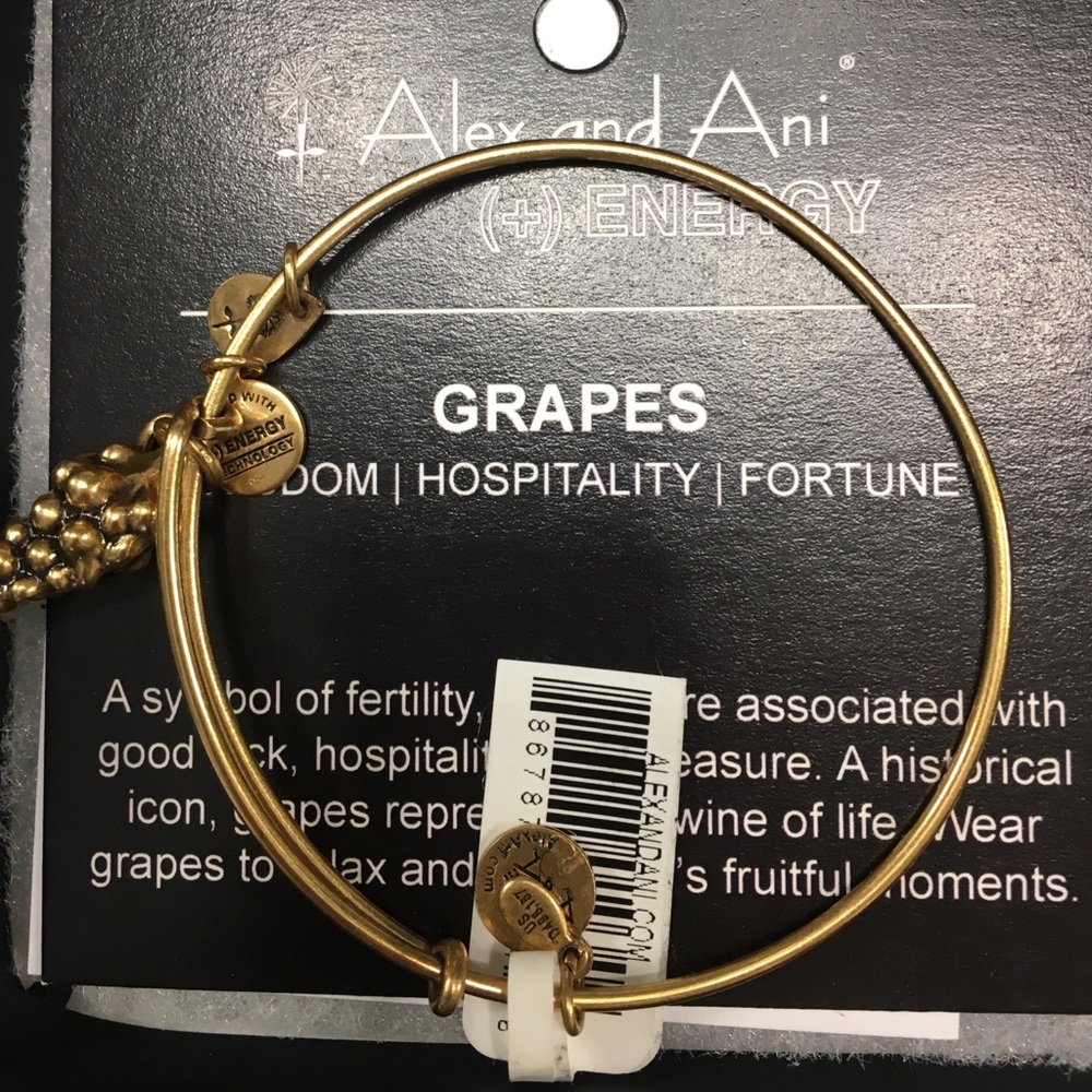 Alex and Ani new Bracelet