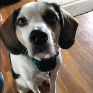 Meet your Posher, Nick