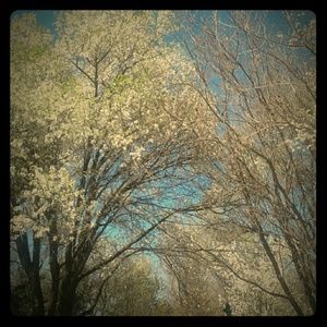 Meet your Posher, Ingrid