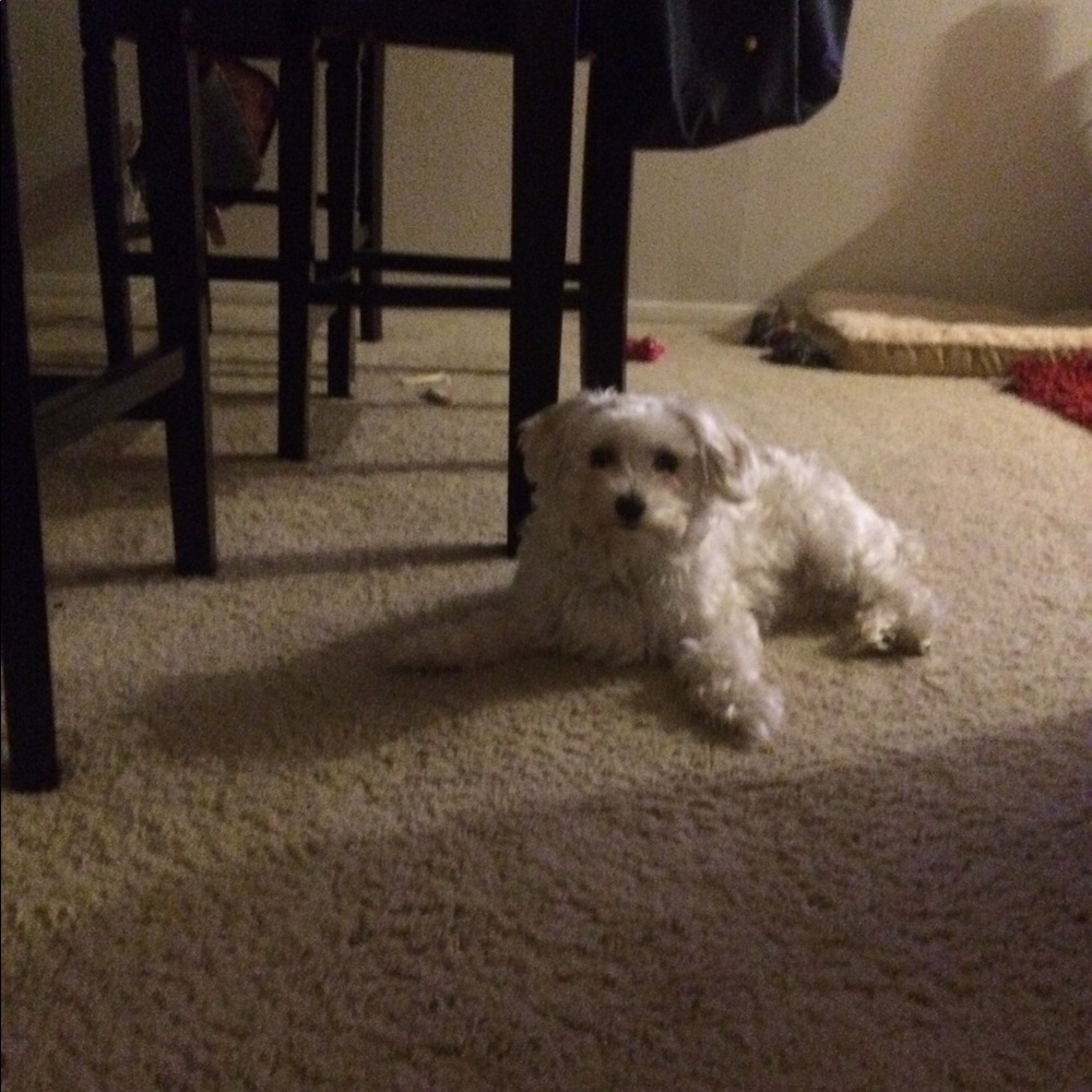 Meet your Posher, Minhee