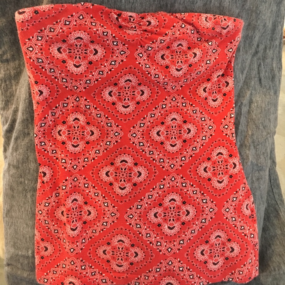 Bandana Print Strapless Tube Top