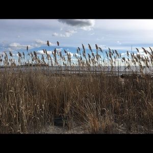 Meet your Posher, Ryleigh