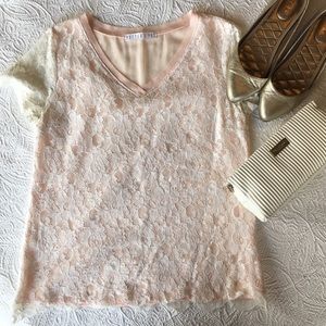 Potter's Pot  Scalloped Lace Tee