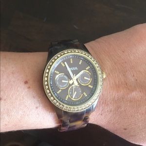 Tortoise shell fossil watch