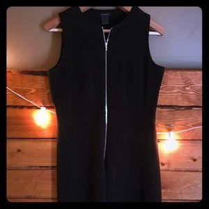 Ann Taylor Fitted Dress