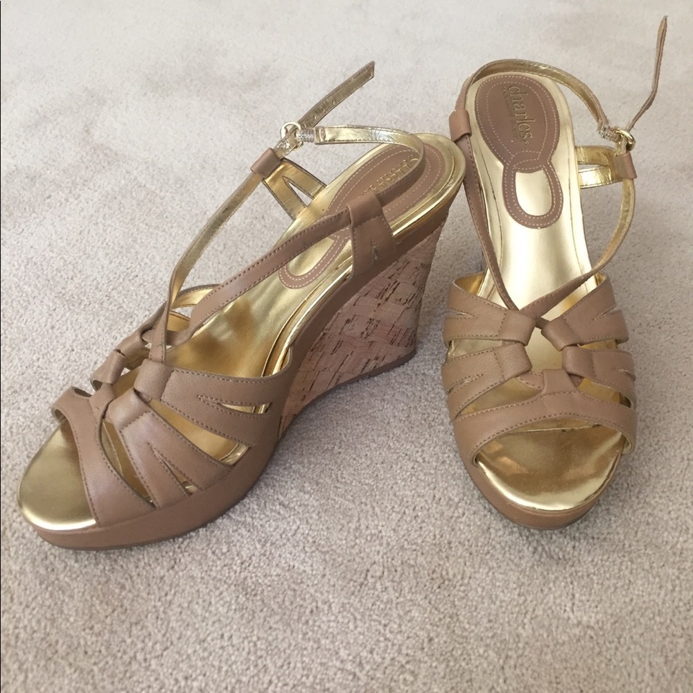 Charles David platform sandals