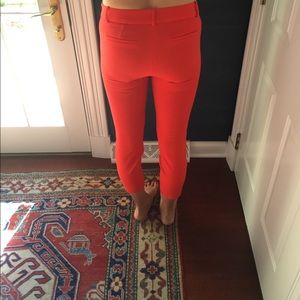 J crew pants