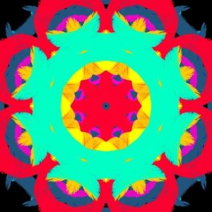 Meet your Posher, Rae