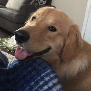 Meet your Posher, Anna