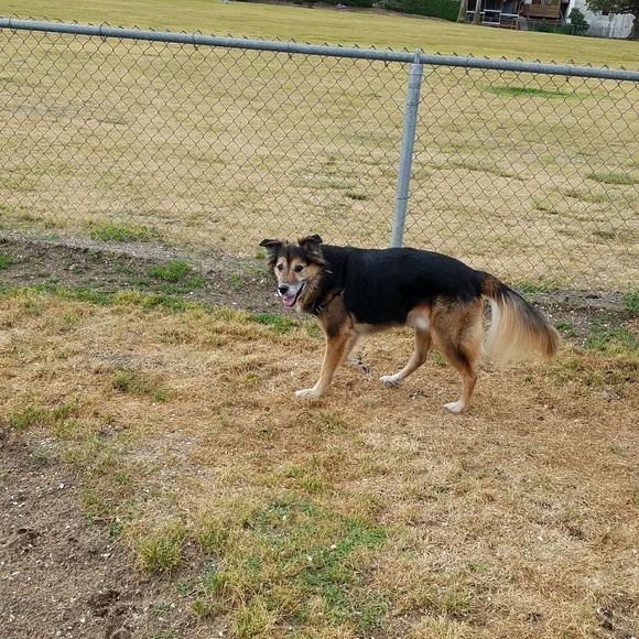 Meet your Posher, Krista - Picture 1 of 1