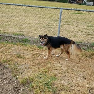 Meet your Posher, Krista