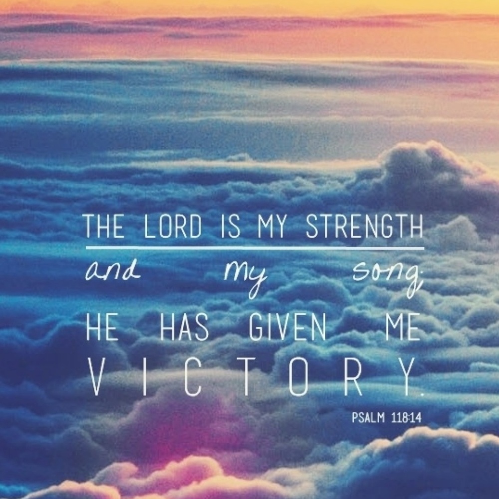 Meet your Posher, Gigi