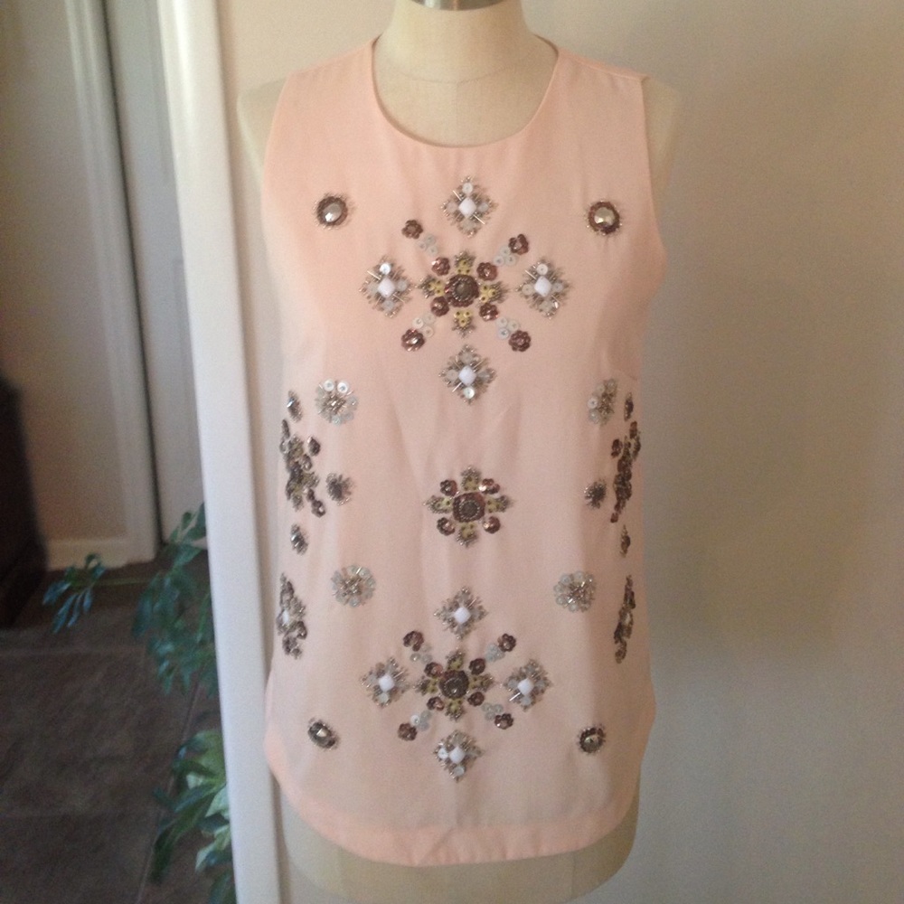 Blush Lined Sequin Tanktop