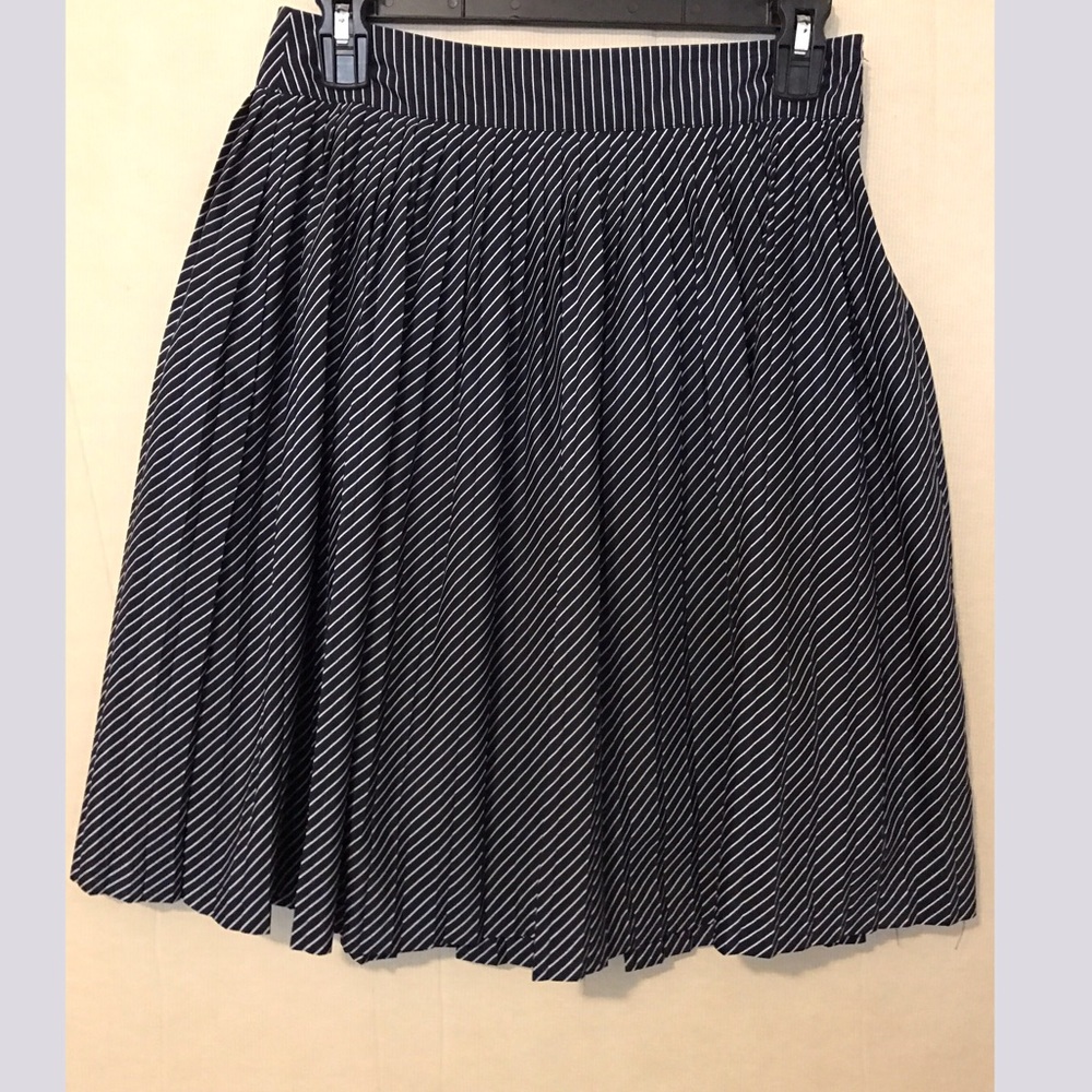 ❗️Make an offer❗️Navy pleated skirt