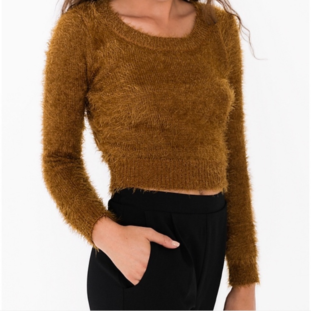 American Apparel Fuzzy Cropped Sweater