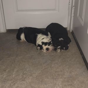 Meet your Posher, Michele