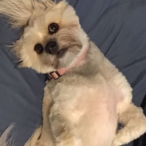 Meet your Posher, Chris