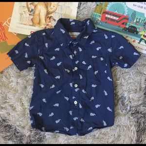 Blue whale button down shirt, 24 months