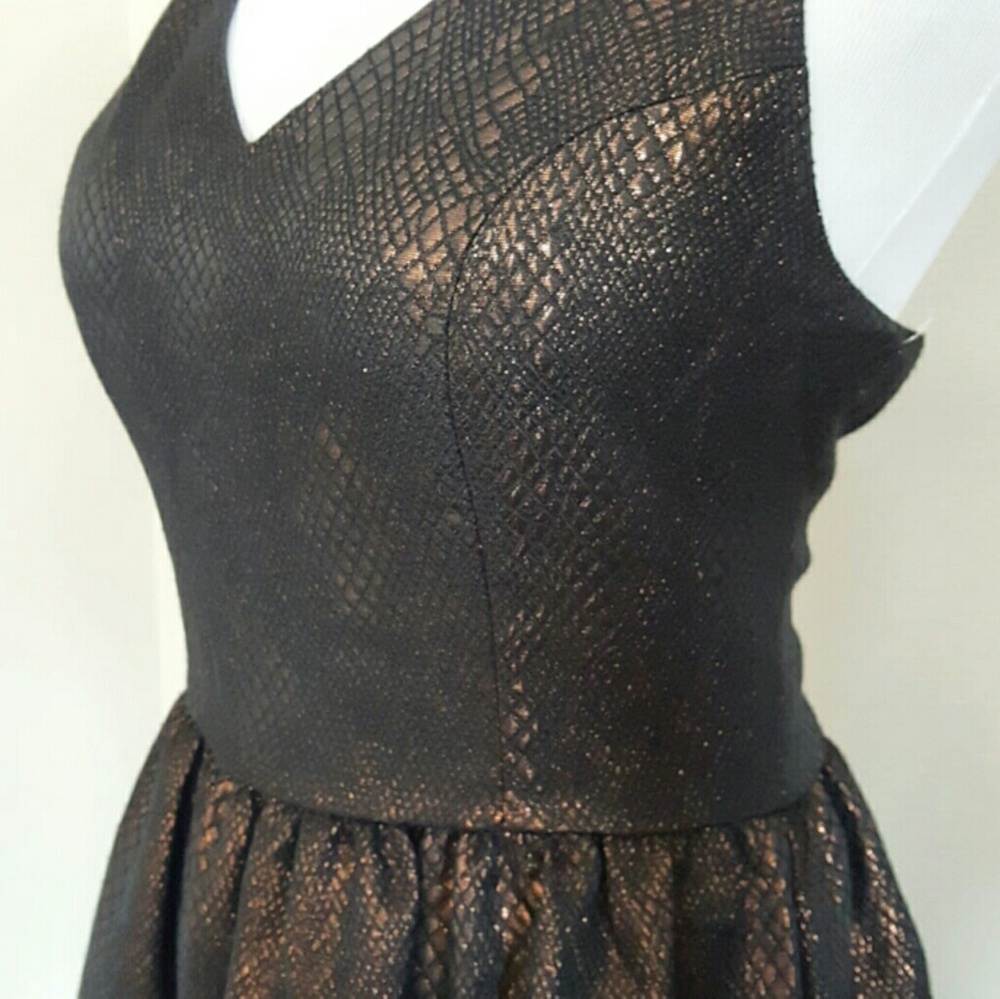 * Last one!* NWT BAR III | Skater Dress - Picture 2 of 6