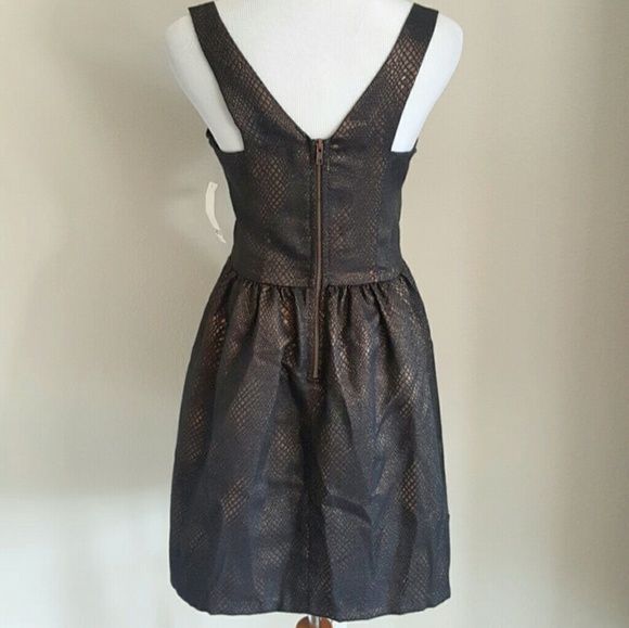 * Last one!* NWT BAR III | Skater Dress - Picture 3 of 6