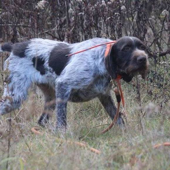 Meet your Posher, Suzanne - Picture 1 of 1