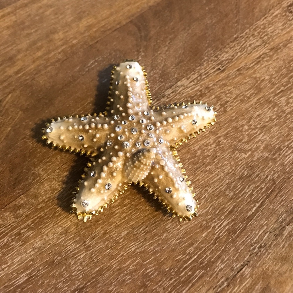 Enamel starfish box