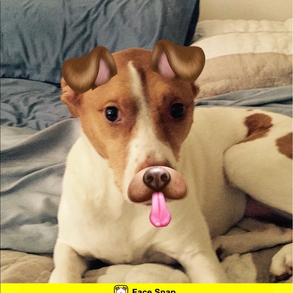 Meet your Posher, Jeffrey - Picture 1 of 1